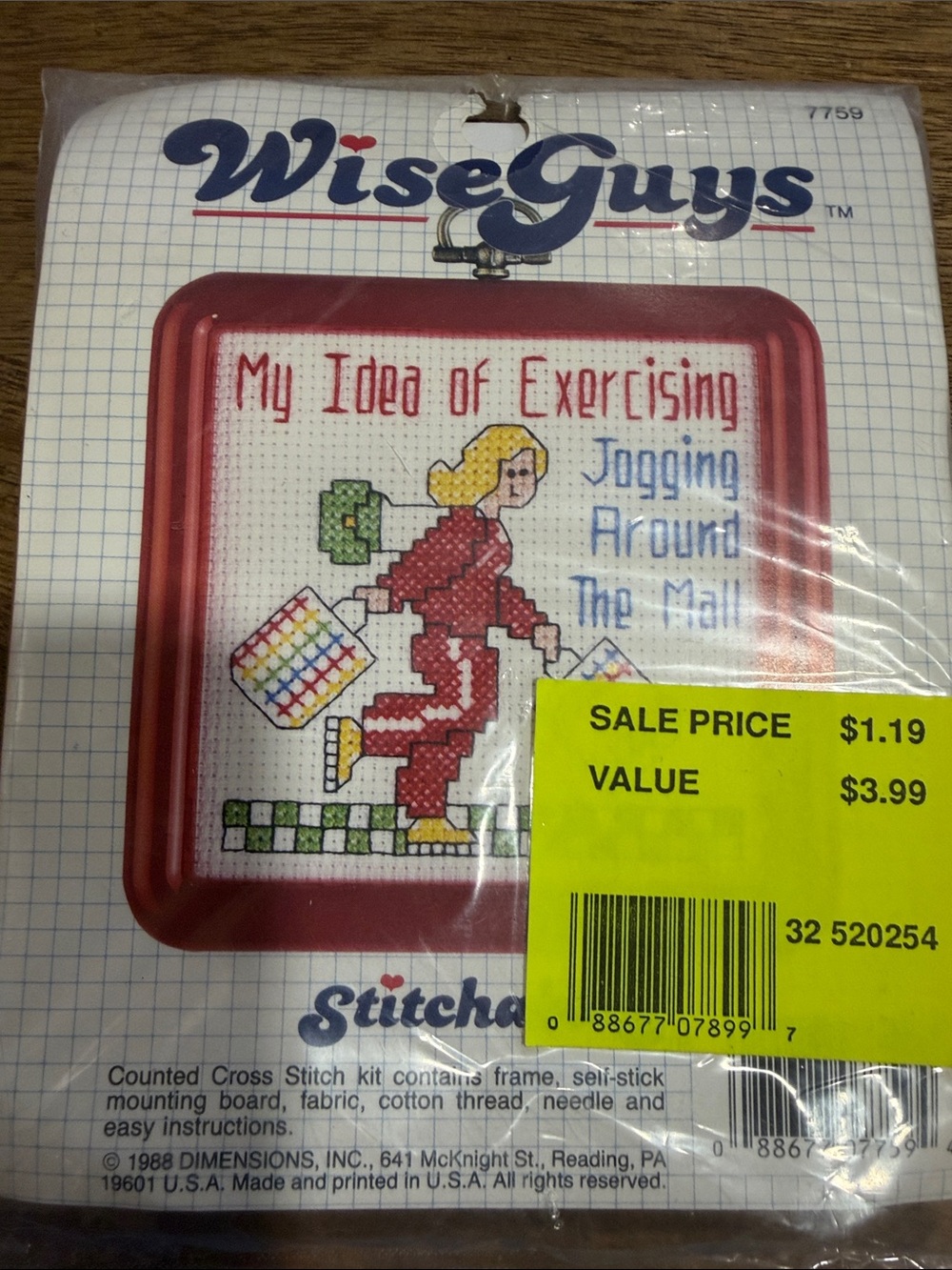 Red Framed Cross Stitch Wall Decor - "My Idea Of Exercising"